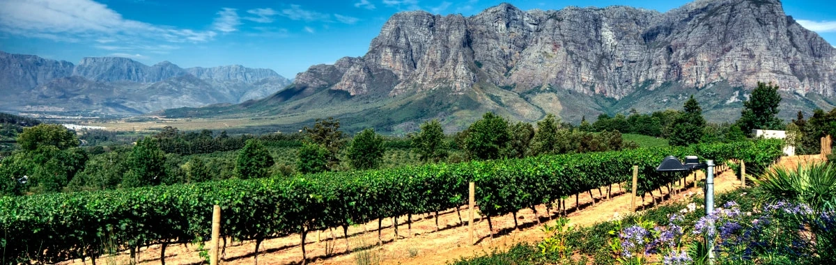 Degustando vinhos em Franshhoek