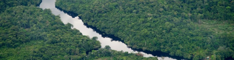 Experiência Amazônica - Anavilhanas Jungle Lodge