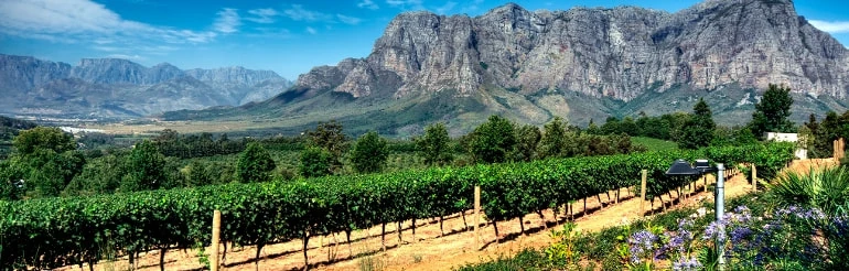 Safári, Cape Town e vinhos